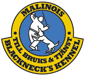 Logotyp: Blackneck's kennel.